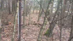 Бесснежная Зима 2020.Идем искать подснежники