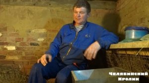 Ямное содержание кроликов #2 | Вопросы и ответы