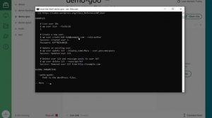 LOCAL и WP CLI Как работать в консоли с WordPress?