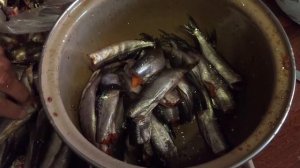 Ряпушка в томатном соусе в автоклаве