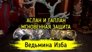 АСЛАН И ГАПЛАН. МГНОВЕННАЯ ЗАЩИТА. ДЛЯ ВСЕХ.