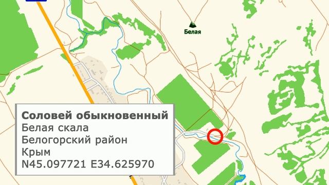 Соловей Белая скала смотреть онлайн