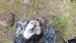 5-ти часовой коп.....TX-950