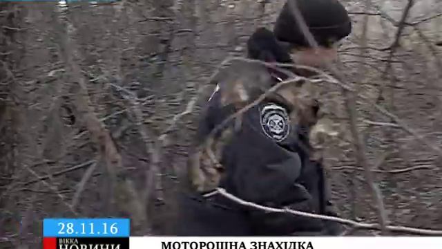 Моторошна знахідка: на Чигиринщині грибник натрапив на людські рештки смотреть онлайн