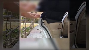 Москитная сетка для окон автомобиля