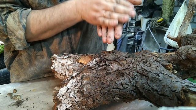 Как сделать декор из коряги. How to make a decor from a snag. смотреть онлайн