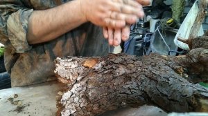 Как сделать декор из коряги. How to make a decor from a snag.