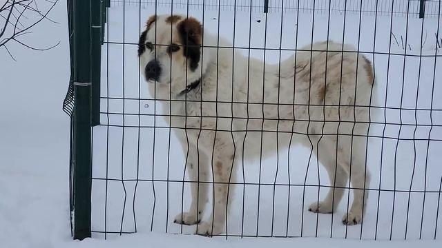 Встреча с Фениксом, спустя год, после страшной аварии. смотреть онлайн