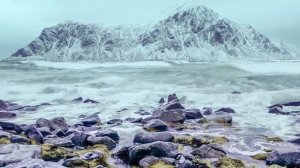 Windy in Lofoten