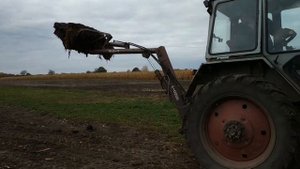 Вывоз навоза самодельным погрузчиком на ЮМЗ