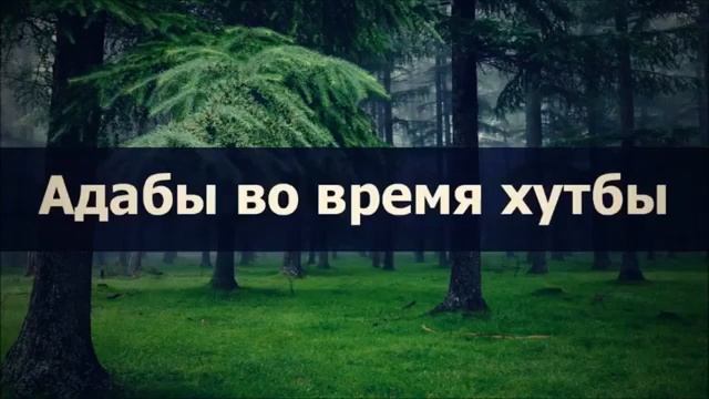 ✅ Адабы во время хутбы ¦¦ Абу Яхья Крымский смотреть онлайн