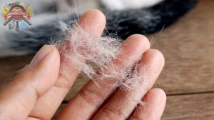 Сестра рассказала зачем на домашние тапки одевает носок. Спешу поделиться лайфхаком!