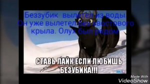 Ночная фурия серия 1