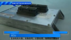Видео о газовых двигателей WEICHAI, принцип работы, компоненты, запчасти к ним на www.bgzip ru