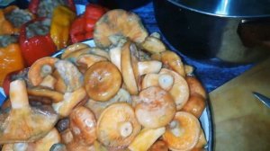 Засолка грибов рыжики