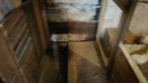 Сарай для всех!!! Свиньи, куры, перепела в одном помещении.