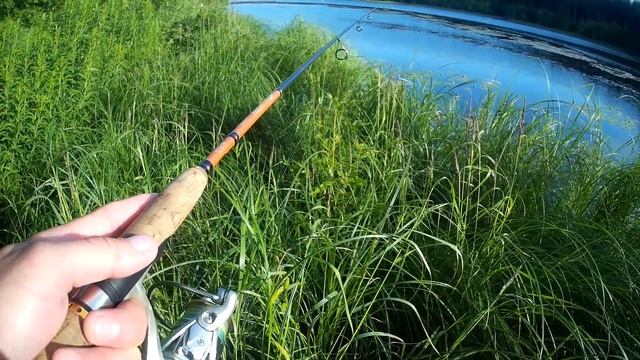 Жадный окунь!!!!!Ловля окуня на отводной поводок летом 2018!