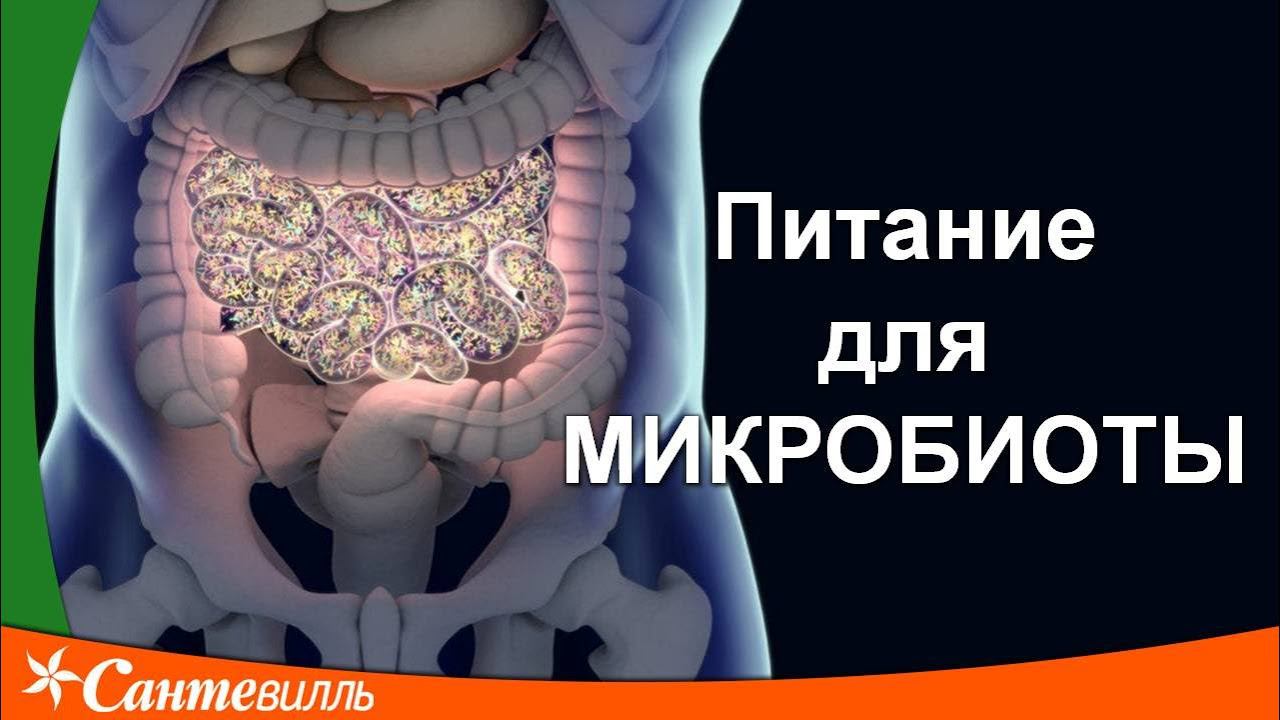 Питание микробиоты | Пища как лекарство