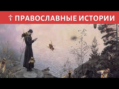 ? Святой Иннокентий и пчелы  - православный рассказ о Святом человеке