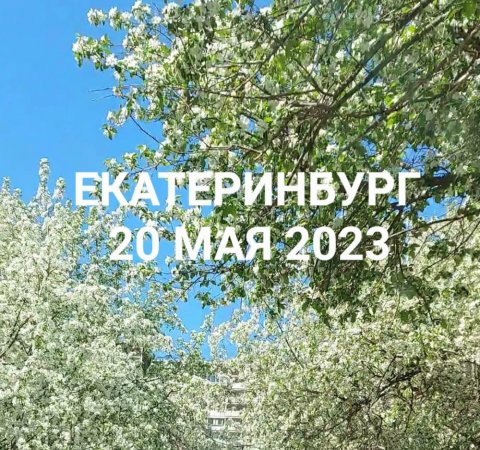 Екатеринбург утопает в цветах
20 мая 2023