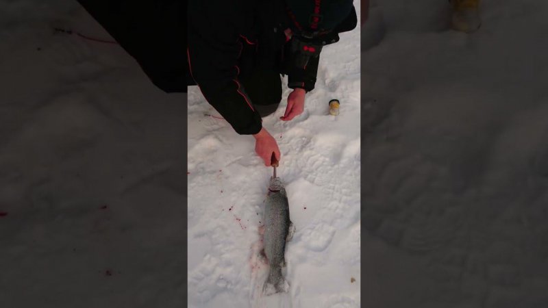На сырную классику
