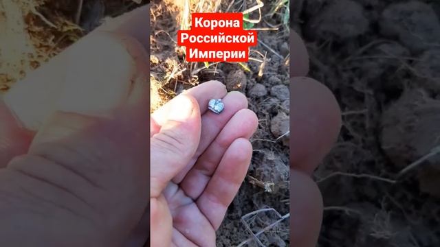 Корона Российской Империи серебряная  канал на Дзене Дядькасбородой