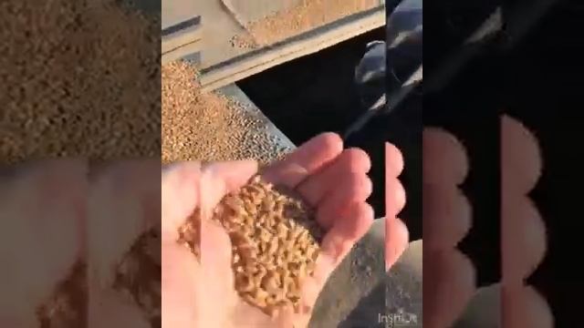 Славутич КЗС