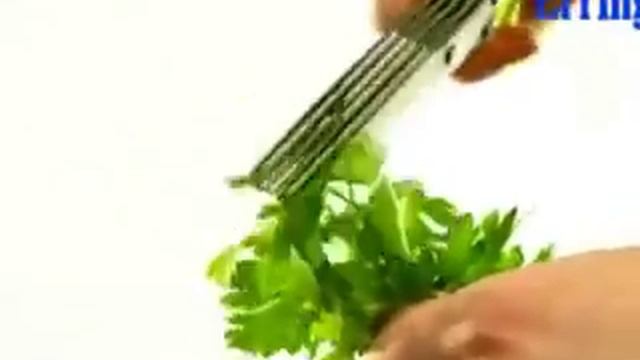 НОЖНИЦЫ ДЛЯ НАРЕЗКИ ЗЕЛЕНИ (5 ЛЕЗВИЙ) SCISSOR. Заказывайте на http://podarki.tep63.ru смотреть онлайн