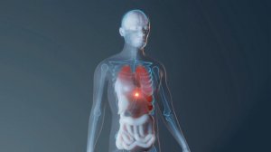 5 Дней БЕЗ ЕДЫ! Вот что ТВОРИТСЯ с Телом уже через 18 часов...