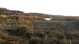 Гусеничный вездеход,,дифференциальный поворот в действии