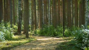 Коттеджный поселок "Рысь", группа поселков "Заповедник"