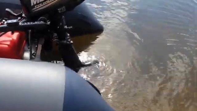 Обзор мотора Меркурий F 6 M