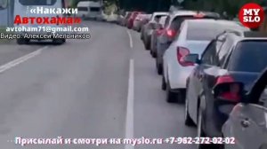 «Накажи автохама»: водитель маршрутки решил объехать пробку по встречке