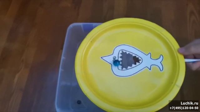 Онлайн занятия для детей: Игра-минутка "К хищнику не попадись" смотреть онлайн