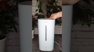 Увлажнитель воздуха Dexp HM-450