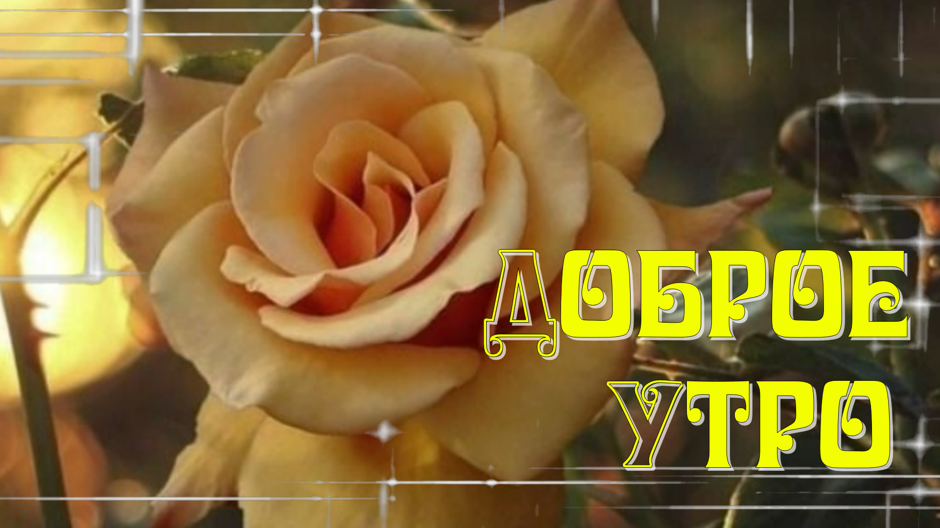 Доброе Утро! Утро Началось! Позитив с утра!