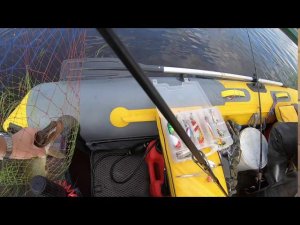 29 08 2020 Милицейка  Кисилевка