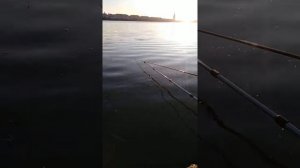 Как мужик интересно ловит рыбу в Китае