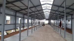 Строительство коровника   stroitelstvo-korovnika