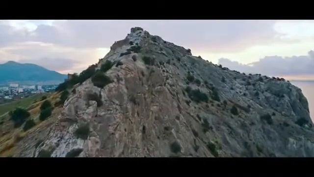 Дельфинёнок смотреть онлайн