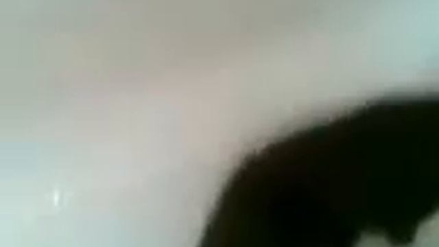 Посмотрите как я воду люблю!!!! смотреть онлайн