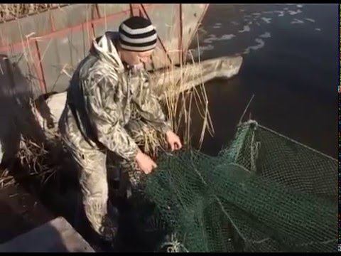 АзНИИРХ расширяет зоны мониторинга