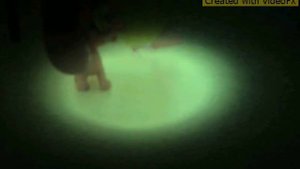 LPS: По штрих-кодам переходов побегут пешеходы.