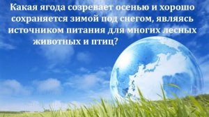 экологическая викторина