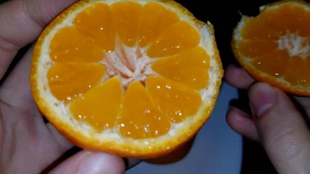 Citrus clementina Comune / Clementine Comune (Клементин Комуне)