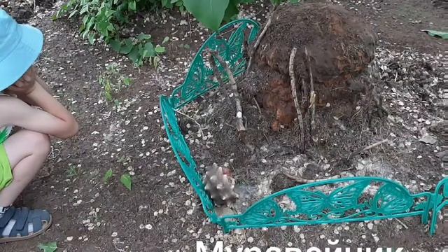 Мир дружных Эколят- малышей и дошколят смотреть онлайн