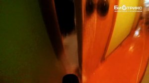 Если в диване завелись клопы,что делать?