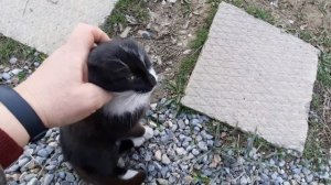 Афганский казан. Готовим хаш! Говяжья ножка.