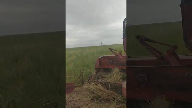 испытание в поле на камыше ,как работает система с фиксацией нитки двумя флажками смотреть онлайн