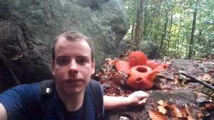 РАФФЛЕЗИЯ: САМЫЙ КРУПНЫЙ В МИРЕ ЦВЕТОК / Нацпарк Гунунг-Гадинг на Борнео
